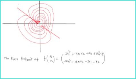 Drawing Plausible Phase Portrait