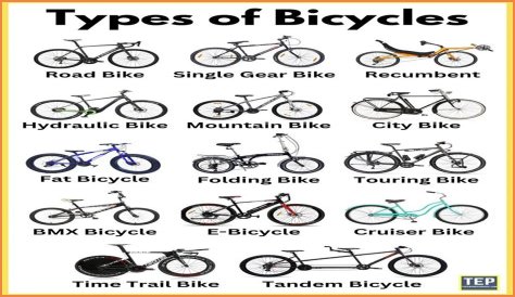 Find the number of bicycles and tricycles [duplicate]