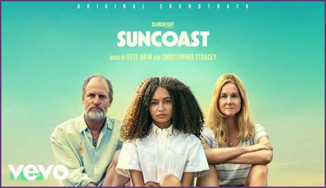 Suncoast - by Christopher Lloyd