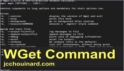 Unable to use wget command